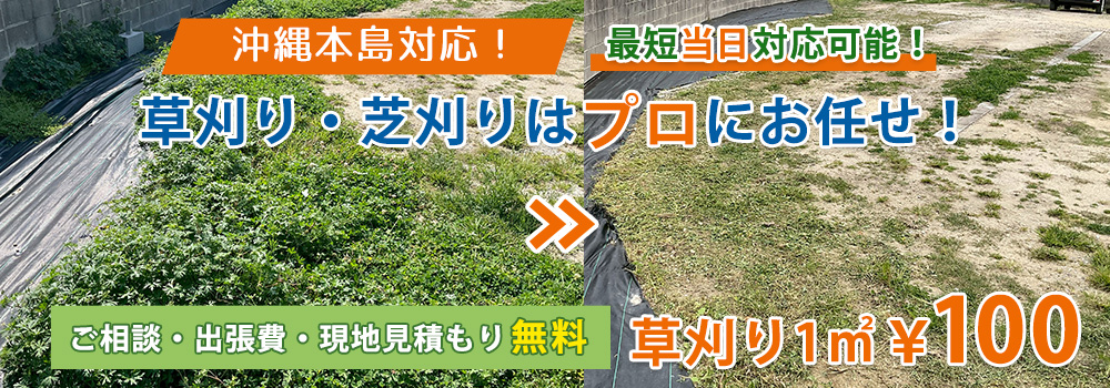 沖縄の草刈り・芝刈りはお任せください